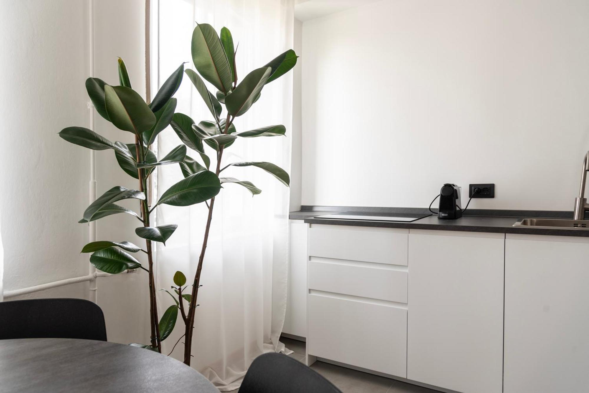 Youhosty- Terragni 31 Appartement Milan